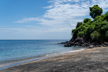 beach with trees