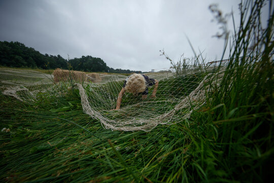 A child crawls through a large net stretched across a grassy field.  Cloudy day, obstacle course.