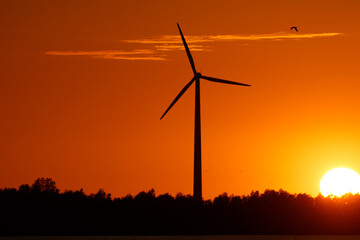 Silhouette of a wind turbine at sunset,  bright orange sky, and dark trees in foreground.  Renewable energy at golden hour.