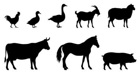 Farm Animal Livestock Silhouette Clipart Set on a Transparent Background, Including Horse, Cow, Pig, Goat, Sheep, Chicken, Duck and Goose