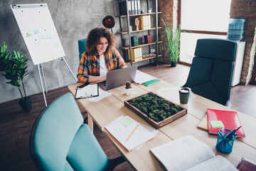 Young woman with curly hair working on a laptop in a modern office setting with indoor plants and a business presentation board