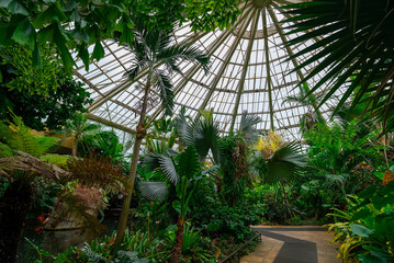 Large greenhouse with tropical plants. Botanical garden.
