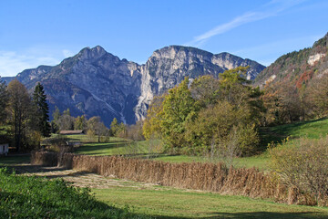 Naklejka premium il Craunel e il Monte Cuc dai prati di Favogna (Bolzano)