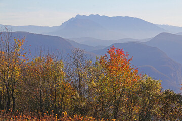Fototapeta premium profili di monti oltre l'Adige; panorama autunnale da Favogna (Bolzano)