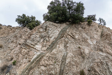 Granitic Rocks / Leucocratic Plutonic Rocks ( grd ). intrusive / dikes. Angeles Crest Scenic Byway, Los Angeles County, California. San Gabriel Mountains.  Angeles National Forest