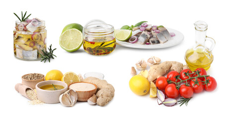 Different types of fish marinade and herring pieces on white background