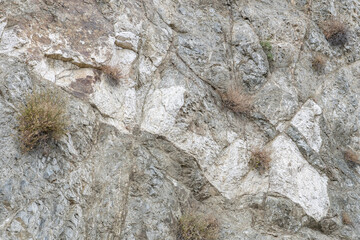 Hornblende Diorite Gabbro amphibolite ( hdg ). intrusive / dikes. Angeles Crest Scenic Byway, Los Angeles County, California. San Gabriel Mountains. Angeles National Forest