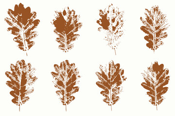 Natural oak tree leaves imprint, Grunge style, Vector, Isolated, Decorative elements for design