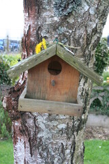 bird house on a tree