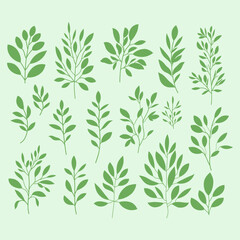 Collection of leaves on a green background. Botanical with plant elements. Green branches set. Hand drawn decorative elements.