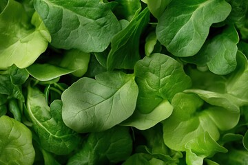 Fresh leafy greens displayed on a wooden surface ready for culinary use in healthy meals