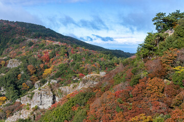 寒霞渓　展望台から紅葉狩り　（香川県　小豆島）