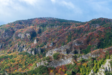 寒霞渓　色づく山肌　（香川県　小豆島）
