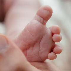 A newborn baby's feet in mom s hands close-up. High quality photo