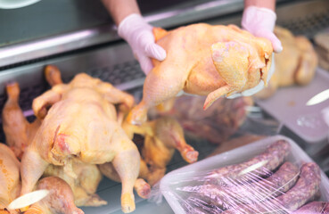 Close-up view of row chicken held in hands by seller against background of showcase of butcher shop