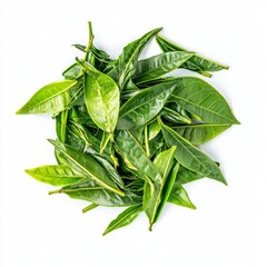 Obraz premium Isolated pile of fresh green tea leaves on a transparent background.A pile of pristine green tea leaves showcased on a clear background.Fresh green tea leaves arranged in a heap with a transparent