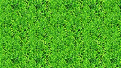 Fototapeta premium Vector bright green seamless grass border, texture, isolated, clean