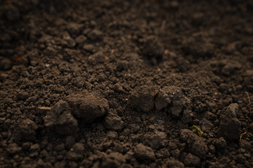 abstract background of the earth, fertile soil close-up