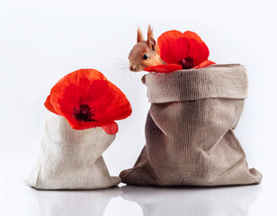 red squirre with red flowers in bag  