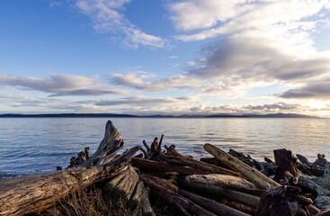 Driftwood-Strewn Shoreline at Sunrise on Vancouver Island's Scenic Coastline