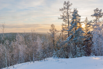 Magnificent snow-covered forest on the mountain, bright rays of sunset illuminate the treetops and snow.