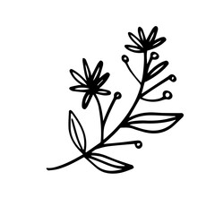 flower and leaf hand drawn element