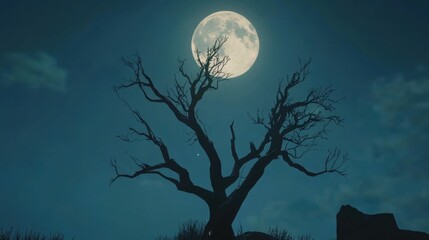 Silhouette of a Gnarled Tree Under a Full Moon in a Dark Sky