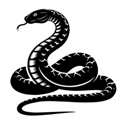 black and white snake