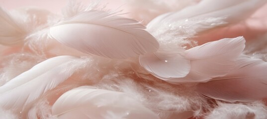 Fototapeta premium Soft and Airy White Feathers on a Pastel Pink Background A Gentle and Dreamy Texture