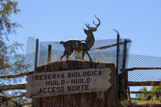 letrero que se&ntilde;ala la entrada a la reserva biol&oacute;gica de Huila Huilo, Chile