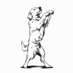 Golden Retriever Dog Dancing Vector image isolated on white background.