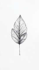 Intricate Line Drawing of a Single Leaf