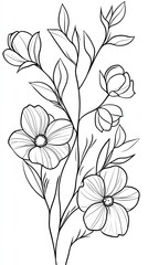Elegant Line Art Flowers Botanical Illustration