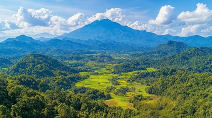 Obraz premium Climate change transforms fertile green farmlands into arid wastelands as global warming causes severe droughts and depletes agricultural productivity.