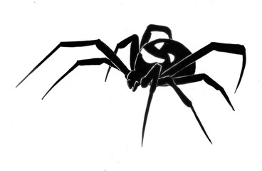 spider