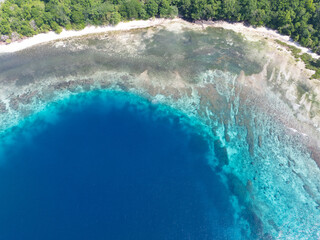 The scenic island of Bangka, just north of Sulawesi in Indonesia, is fringed by healthy coral reefs and mangroves. This area is part of the Coral Triangle and harbors astounding marine biodiversity.