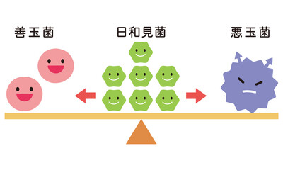 腸内細菌のバランス　腸内フローラ