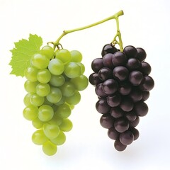 Fototapeta premium Close-up of Two bunches of grapes, one purple and one green,isolated on a white background. 
