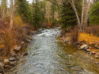 Fototapete Rund Pecos River Running Through Forest in Pecos Canyon, Pecos Canyon State Park, New Mexico, USA © Billy McDonald
