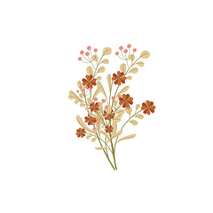 Flower illustration