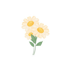 Flower illustration