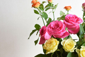 Fototapeta premium カラフルな薔薇