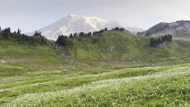 View of Paradise meadow hiking area including trail with Mount Rainier in the background during sunrise.