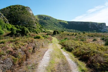 Path Through Okia Flat, Scenic Coastal Walkway in New Zealand