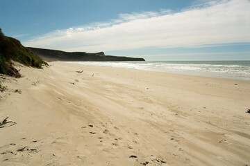 Victory Beach on a Sunny Day, Scenic Coastal Beauty in New Zealand