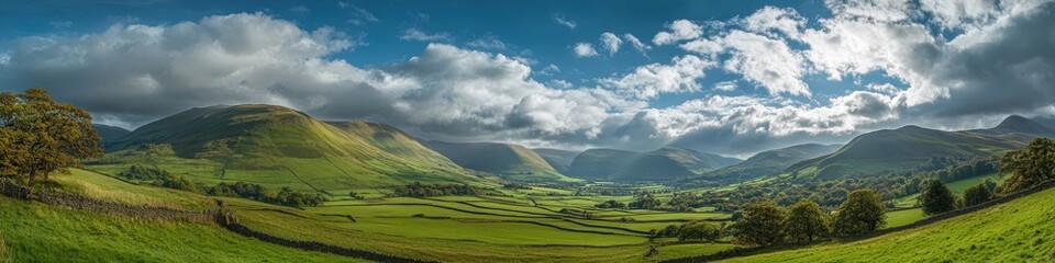 Obraz premium panorama landscape with green grass and blue sky