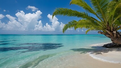 Foxtail Palm Tree in a Tropical Paradise with Turquoise Ocean and Blue Sky