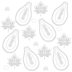 Black and White pattern of papaya fruit and leaves