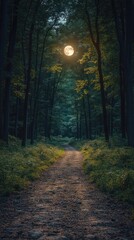Fototapeta premium A serene forest path illuminated by a glowing moon, inviting exploration and tranquility.