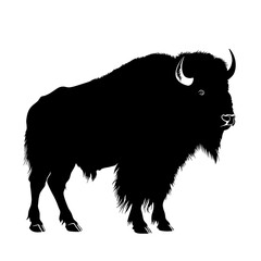Bison silhouette, black and white.